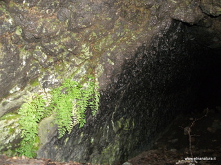 Grotta monte Zappinazzo